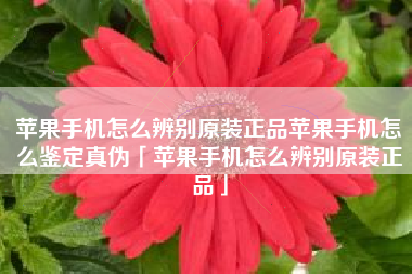苹果手机怎么辨别原装正品苹果手机怎么鉴定真伪「苹果手机怎么辨别原装正品」