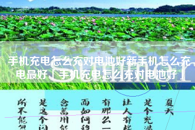手机充电怎么充对电池好新手机怎么充电最好「手机充电怎么充对电池好」