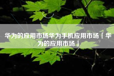 华为的应用市场华为手机应用市场「华为的应用市场」