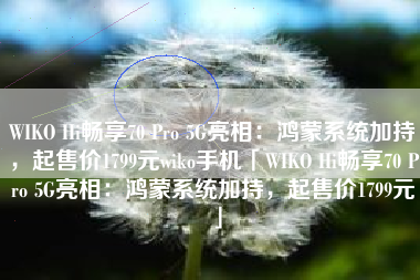 WIKO Hi畅享70 Pro 5G亮相：鸿蒙系统加持，起售价1799元wiko手机「WIKO Hi畅享70 Pro 5G亮相：鸿蒙系统加持，起售价1799元」