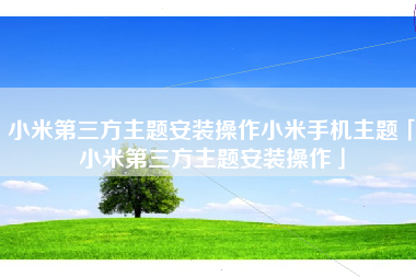 小米第三方主题安装操作小米手机主题「小米第三方主题安装操作」