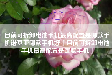 目前可拆卸电池手机最高配置是哪款手机诺基亚哪款手机好「目前可拆卸电池手机最高配置是哪款手机」