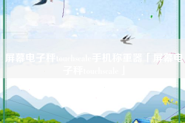 屏幕电子秤touchscale手机称重器「屏幕电子秤touchscale」