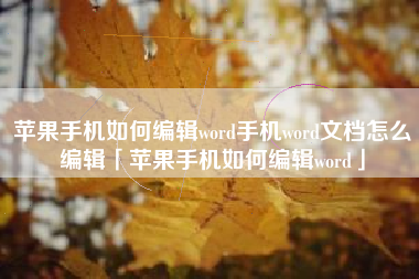 苹果手机如何编辑word手机word文档怎么编辑「苹果手机如何编辑word」