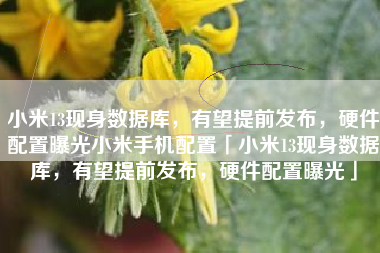 小米13现身数据库，有望提前发布，硬件配置曝光小米手机配置「小米13现身数据库，有望提前发布，硬件配置曝光」