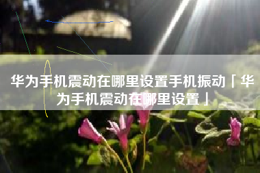华为手机震动在哪里设置手机振动「华为手机震动在哪里设置」