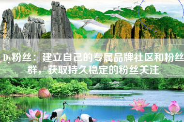 Dy粉丝：建立自己的专属品牌社区和粉丝群，获取持久稳定的粉丝关注