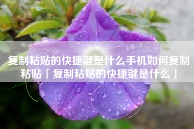 复制粘贴的快捷键是什么手机如何复制粘贴「复制粘贴的快捷键是什么」