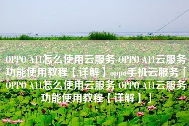 OPPO A11怎么使用云服务 OPPO A11云服务功能使用教程【详解】oppo手机云服务「OPPO A11怎么使用云服务 OPPO A11云服务功能使用教程【详解】」