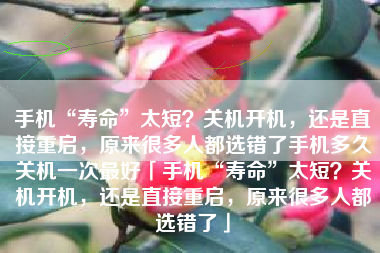 手机“寿命”太短？关机开机，还是直接重启，原来很多人都选错了手机多久关机一次最好「手机“寿命”太短？关机开机，还是直接重启，原来很多人都选错了」
