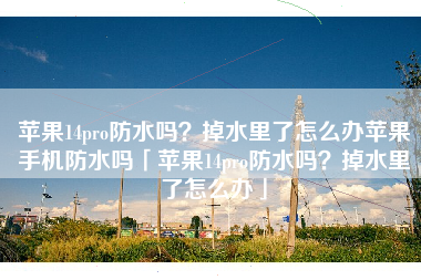 苹果14pro防水吗?掉水里了怎么办苹果手机防水吗「苹果14pro防水吗?掉水里了怎么办」 苹果14pro防水吗?掉水里了怎么办苹果手机防水吗「苹果14pro防水吗?掉水里了怎么办」