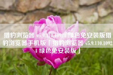 猎豹浏览器 v5.9.110.10924 绿色免安装版猎豹浏览器手机版「猎豹浏览器 v5.9.110.10924 绿色免安装版」