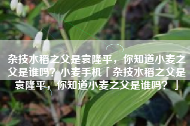 杂技水稻之父是袁隆平，你知道小麦之父是谁吗？小麦手机「杂技水稻之父是袁隆平，你知道小麦之父是谁吗？」