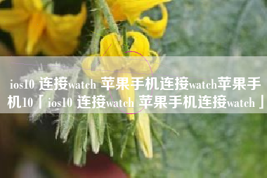 ios10 连接watch 苹果手机连接watch苹果手机10「ios10 连接watch 苹果手机连接watch」