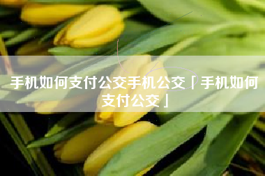 手机如何支付公交手机公交「手机如何支付公交」