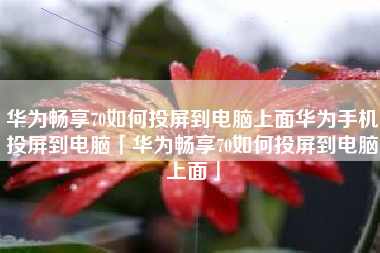 华为畅享70如何投屏到电脑上面华为手机投屏到电脑「华为畅享70如何投屏到电脑上面」