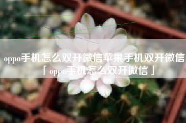 oppo手机怎么双开微信苹果手机双开微信「oppo手机怎么双开微信」