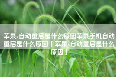苹果x自动重启是什么原因苹果手机自动重启是什么原因「苹果x自动重启是什么原因」
