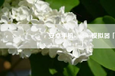 exagear安卓手机windows模拟器「exagear」 exagear安卓手机windows模拟器「exagear」