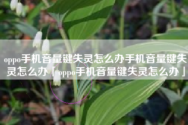 oppo手机音量键失灵怎么办手机音量键失灵怎么办「oppo手机音量键失灵怎么办」