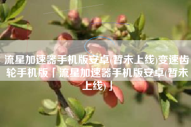流星加速器手机版安卓(暂未上线)变速齿轮手机版「流星加速器手机版安卓(暂未上线)」