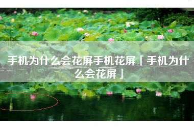 手机为什么会花屏手机花屏「手机为什么会花屏」