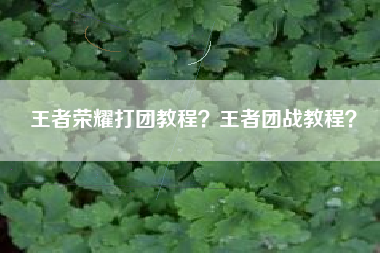 王者荣耀打团教程？王者团战教程？
