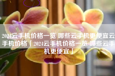 2024云手机价格一览 哪些云手机更便宜云手机价格「2024云手机价格一览 哪些云手机更便宜」
