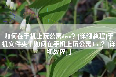 如何在手机上玩公寓dem？[详细教程]手机文件夹「如何在手机上玩公寓dem？[详细教程]」