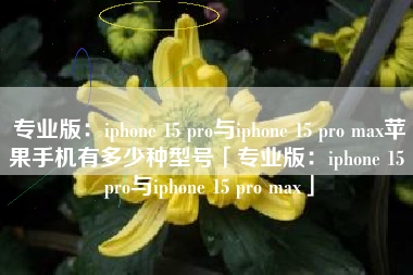 专业版：iphone 15 pro与iphone 15 pro max苹果手机有多少种型号「专业版：iphone 15 pro与iphone 15 pro max」