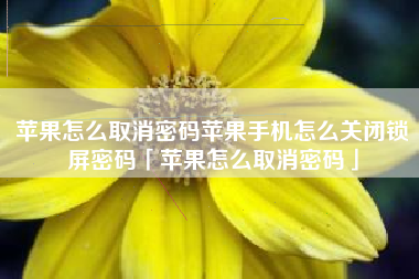 苹果怎么取消密码苹果手机怎么关闭锁屏密码「苹果怎么取消密码」