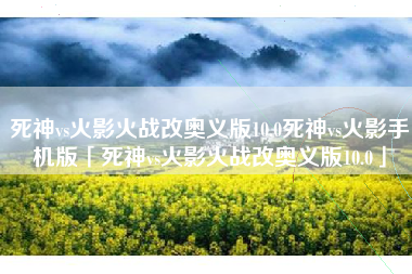 死神vs火影火战改奥义版10.0死神vs火影手机版「死神vs火影火战改奥义版10.0」