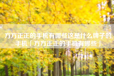 方方正正的手机有哪些这是什么牌子的手机「方方正正的手机有哪些」