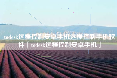 todesk远程控制安卓手机远程控制手机软件「todesk远程控制安卓手机」