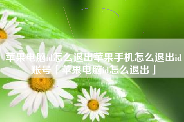 苹果电脑id怎么退出苹果手机怎么退出id账号「苹果电脑id怎么退出」