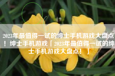 2023年最值得一试的绅士手机游戏大盘点！绅士手机游戏「2023年最值得一试的绅士手机游戏大盘点！」