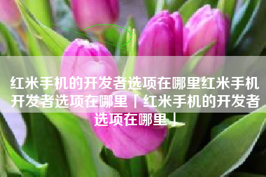 红米手机的开发者选项在哪里红米手机开发者选项在哪里「红米手机的开发者选项在哪里」