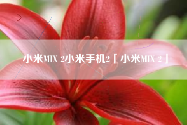 小米MIX 2小米手机2「小米MIX 2」