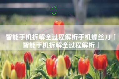 智能手机拆解全过程解析手机螺丝刀「智能手机拆解全过程解析」