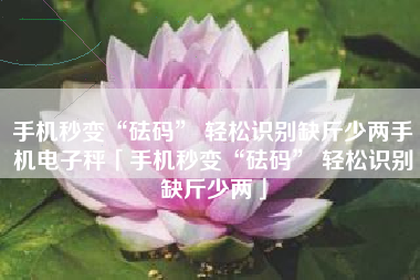 手机秒变“砝码” 轻松识别缺斤少两手机电子秤「手机秒变“砝码” 轻松识别缺斤少两」