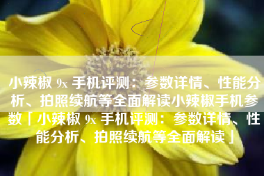 小辣椒 9x 手机评测：参数详情、性能分析、拍照续航等全面解读小辣椒手机参数「小辣椒 9x 手机评测：参数详情、性能分析、拍照续航等全面解读」