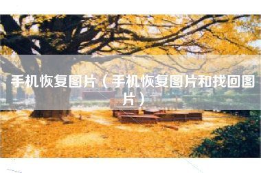 手机恢复图片（手机恢复图片和找回图片）