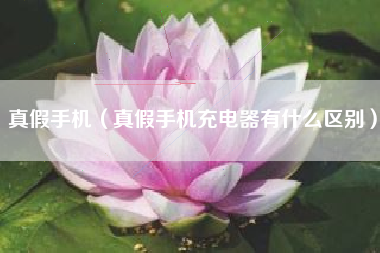真假手机（真假手机充电器有什么区别）