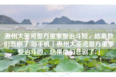 惠州大亚湾警方重拳整治斗殴，结果他们悲剧了!部手机「惠州大亚湾警方重拳整治斗殴，结果他们悲剧了!」