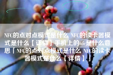 NFC的点对点模式是什么 NFC的读卡器模式是什么【详情】手机上的nfc是什么意思「NFC的点对点模式是什么 NFC的读卡器模式是什么【详情】」