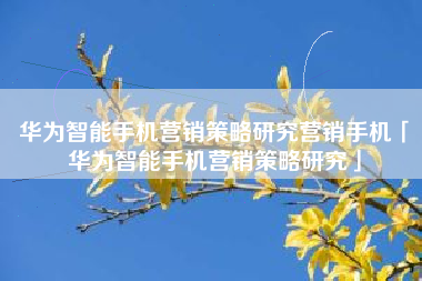 华为智能手机营销策略研究营销手机「华为智能手机营销策略研究」