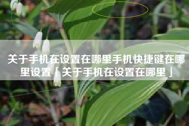 关于手机在设置在哪里手机快捷键在哪里设置「关于手机在设置在哪里」