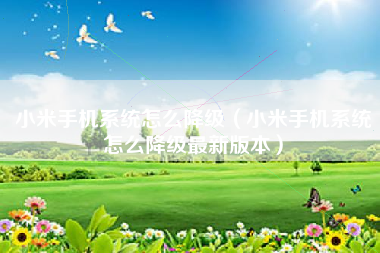 小米手机系统怎么降级（小米手机系统怎么降级最新版本）