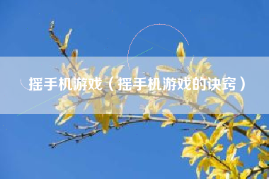 摇手机游戏（摇手机游戏的诀窍）