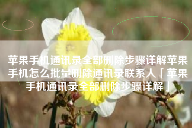 苹果手机通讯录全部删除步骤详解苹果手机怎么批量删除通讯录联系人「苹果手机通讯录全部删除步骤详解」